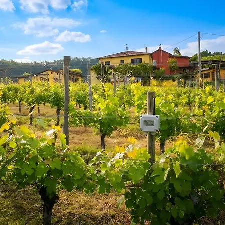 Monteoliveto Classic Vesime